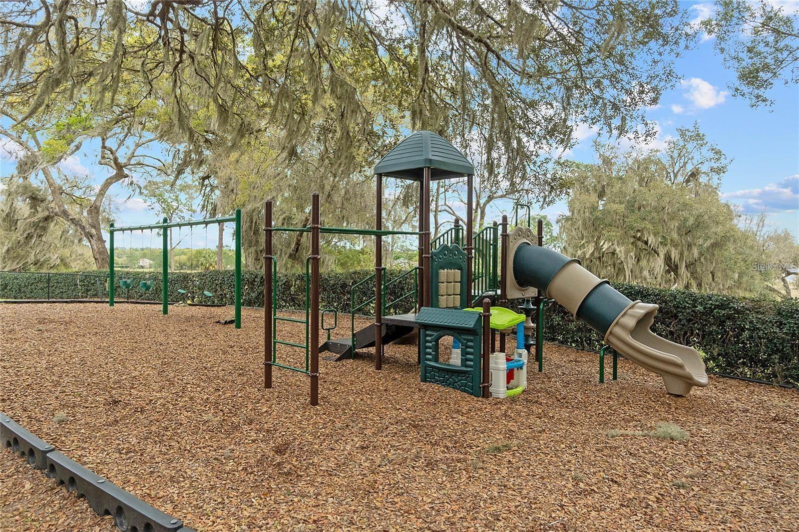 23533 VALDERAMA LN, SORRENTO, FL, 32776