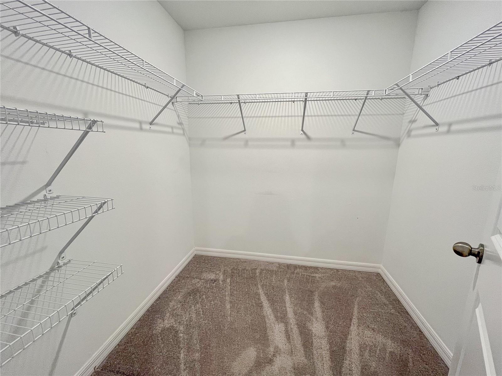 13249 DUPREE HILLS PL, RIVERVIEW, FL, 33579