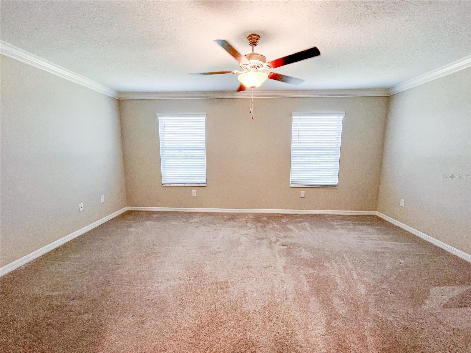 13249 DUPREE HILLS PL, RIVERVIEW, FL, 33579