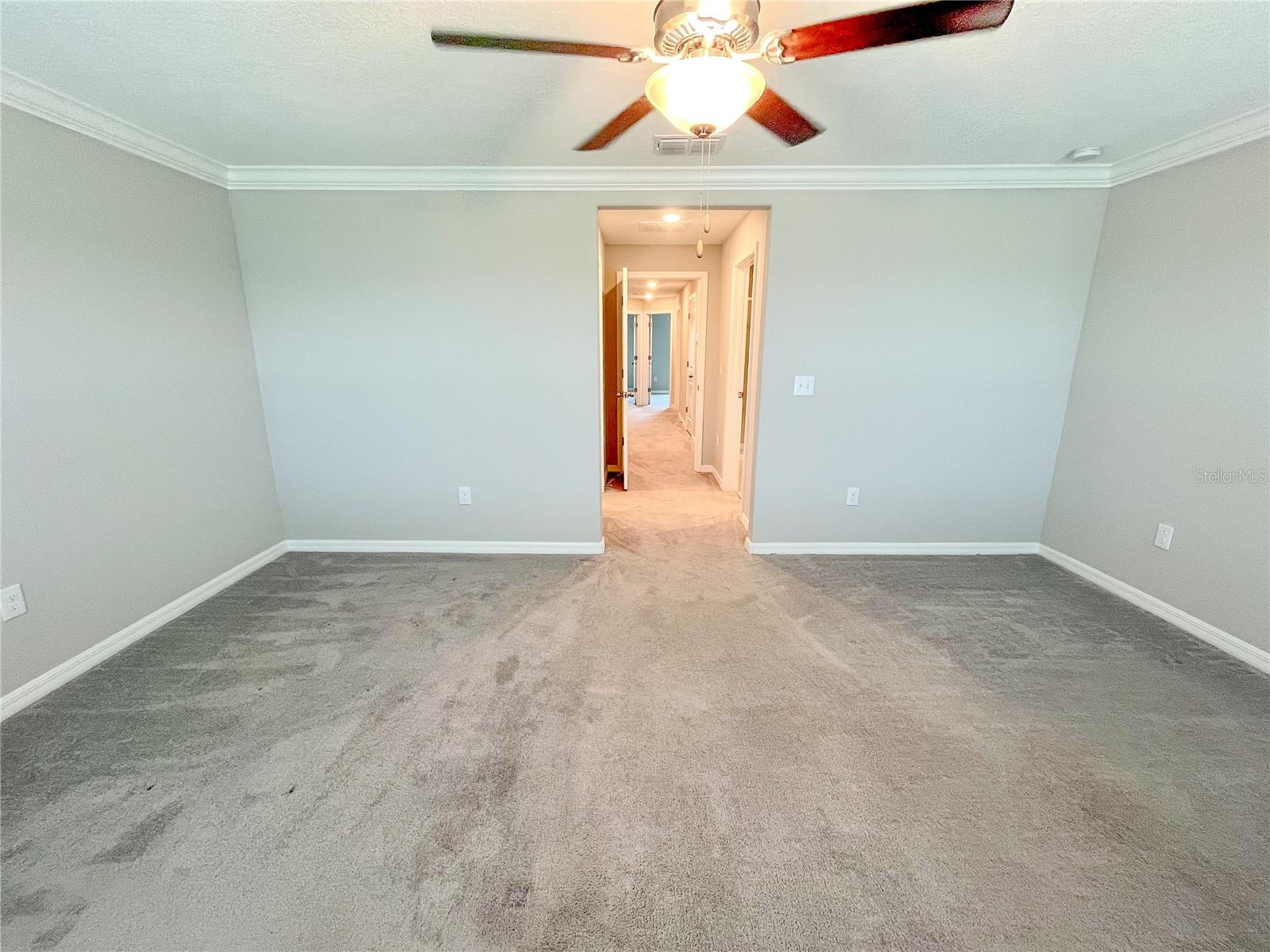 13249 DUPREE HILLS PL, RIVERVIEW, FL, 33579