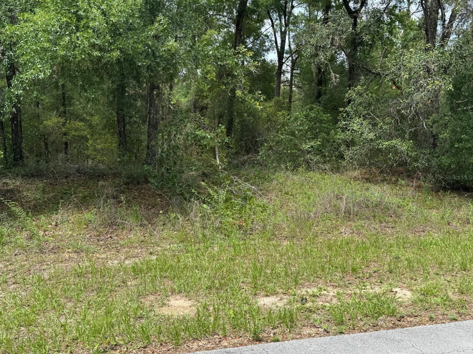 361 E ELGROVE DR, CITRUS SPRINGS, FL, 34434