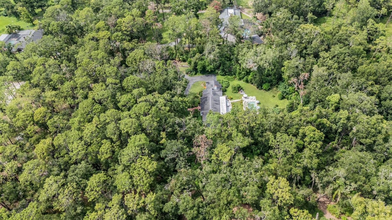 14410 HALE RD, DADE CITY, FL, 33523