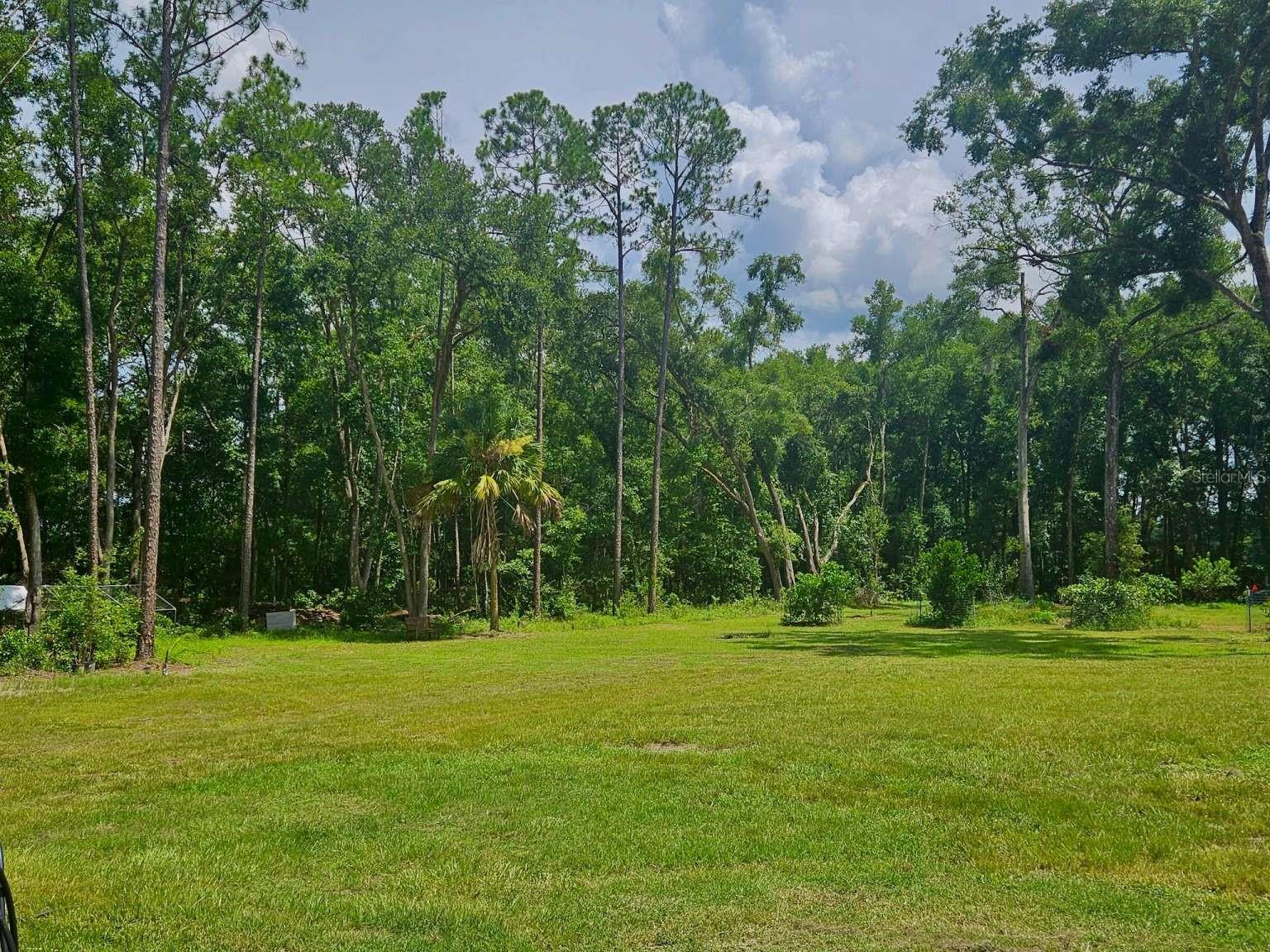 8969 NE 8TH TRL, HIGH SPRINGS, FL, 32643