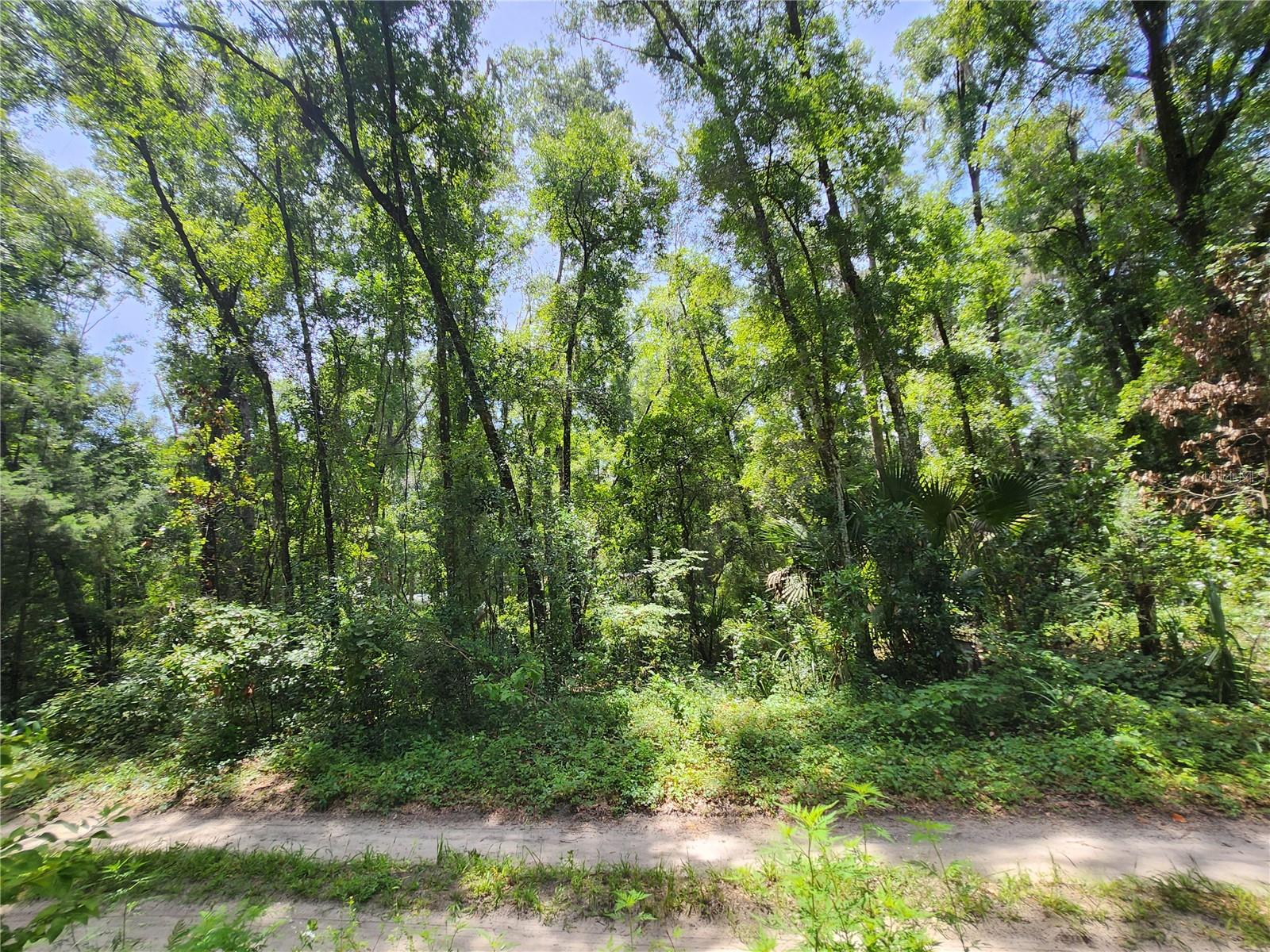 3200 NE 167 ST, CITRA, FL, 32113