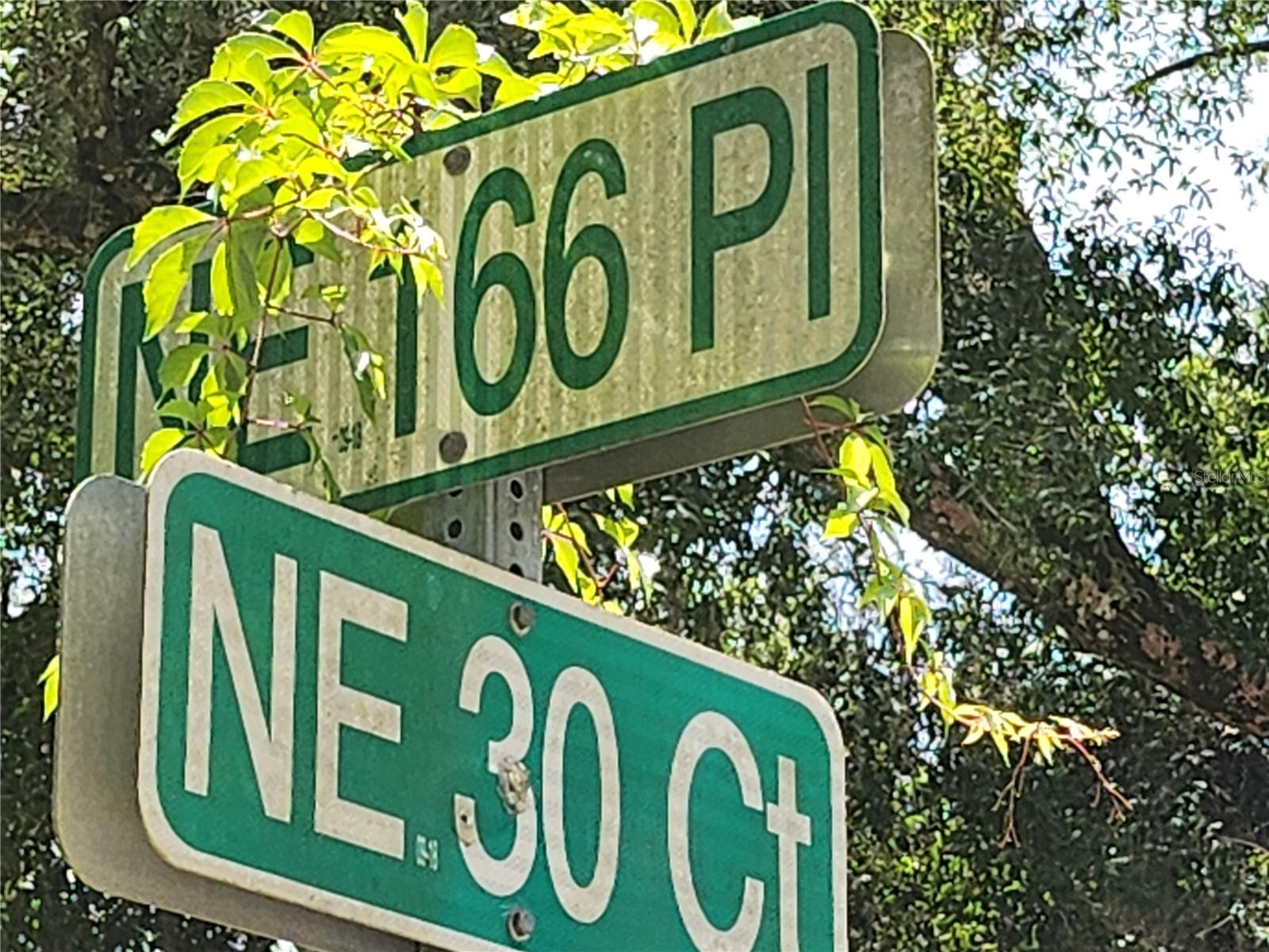 3200 NE 167 ST, CITRA, FL, 32113