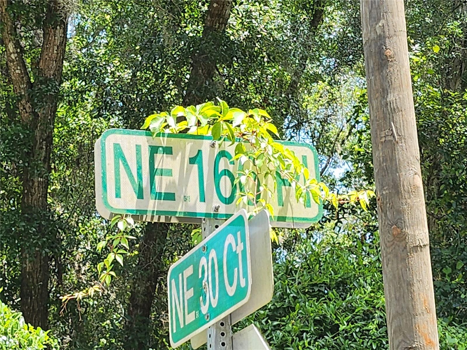 3200 NE 167 ST, CITRA, FL, 32113