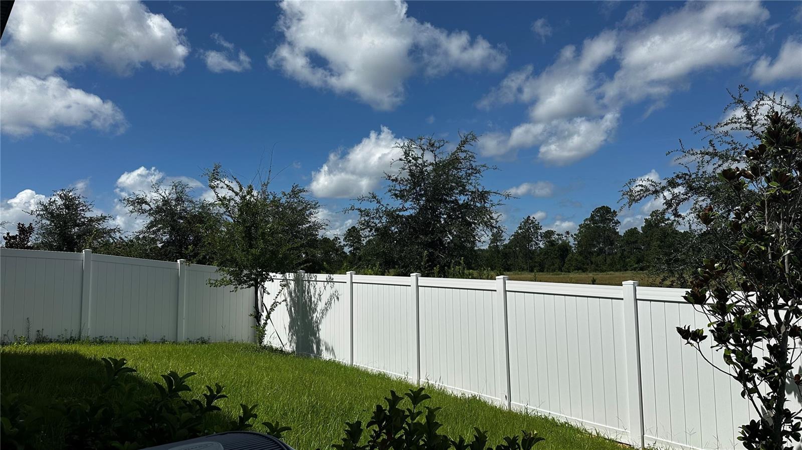 2301 MYSTIC MAZE LN, CLERMONT, FL, 34715
