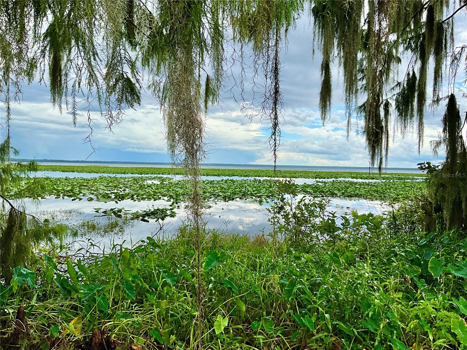 16518 SE 207TH ST, HAWTHORNE, FL, 32640