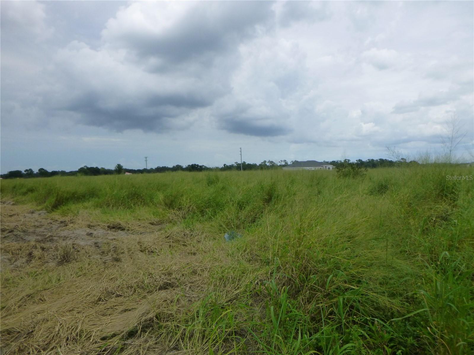 CHESHIRE RD, BARTOW, FL  33830, FL, 33830