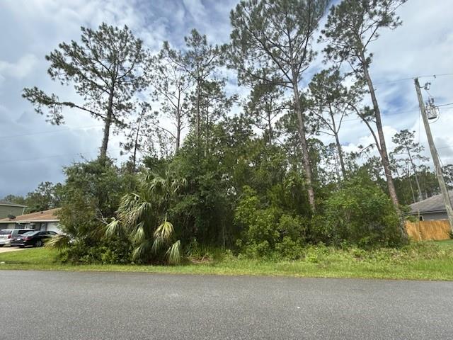 26 WESTGRILL DR, PALM COAST, FL, 32164