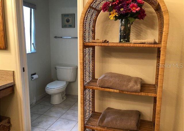 1506 ALCARAZ PL, THE VILLAGES, FL, 32159