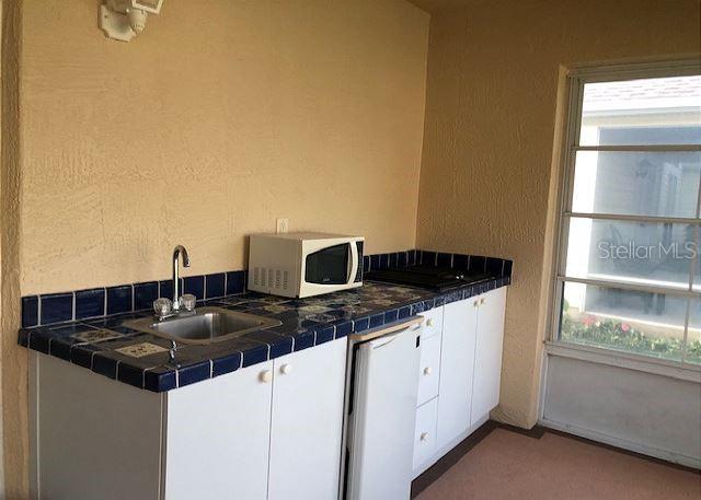 1506 ALCARAZ PL, THE VILLAGES, FL, 32159