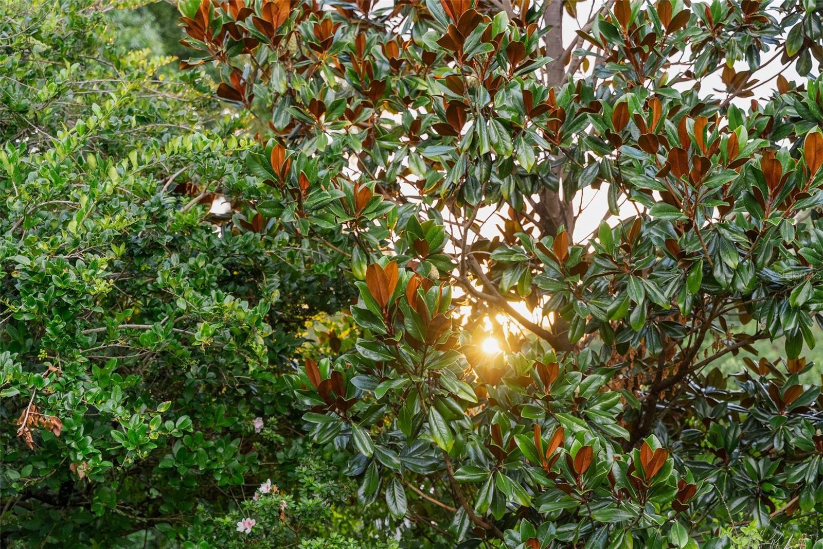 950 N LAKE OTIS DR SE, WINTER HAVEN, FL, 33880