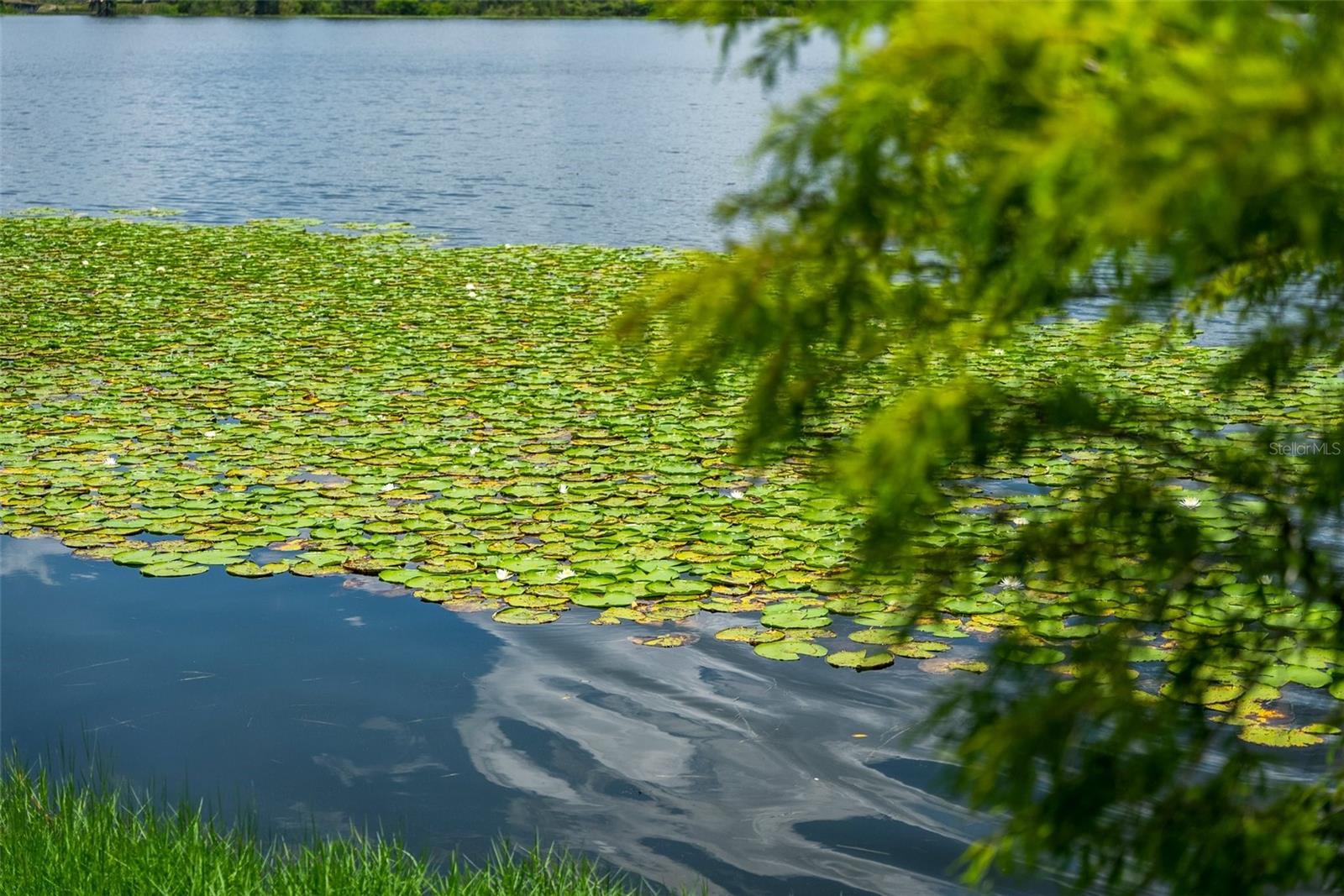 950 N LAKE OTIS DR SE, WINTER HAVEN, FL, 33880