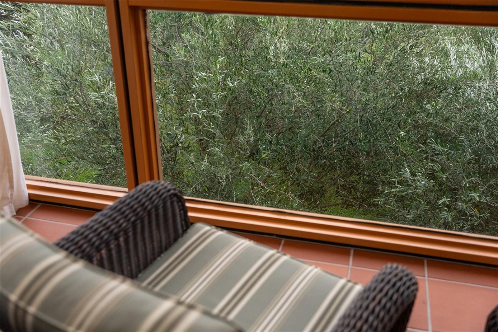 950 N LAKE OTIS DR SE, WINTER HAVEN, FL, 33880