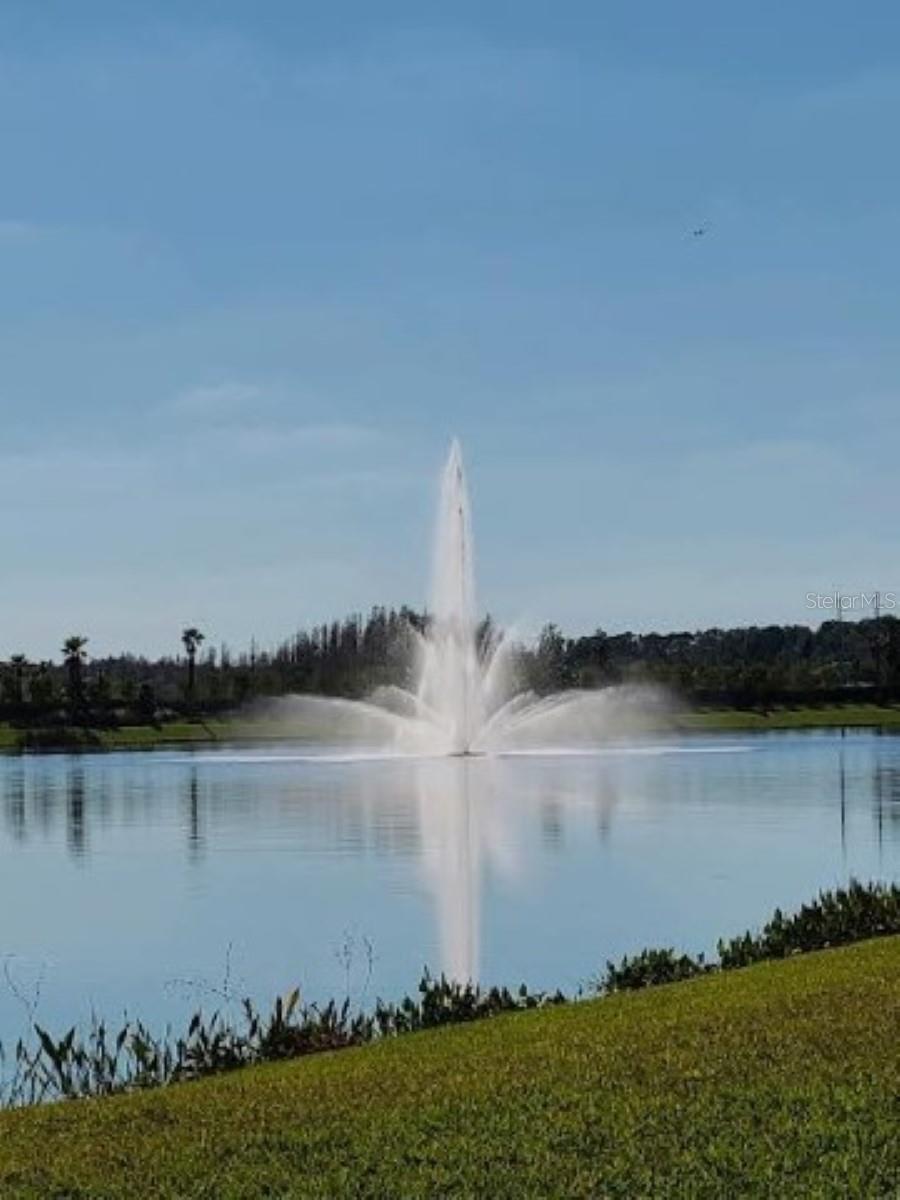 3068 MOUNTAIN SPRUCE TER, WESLEY CHAPEL, FL, 33543