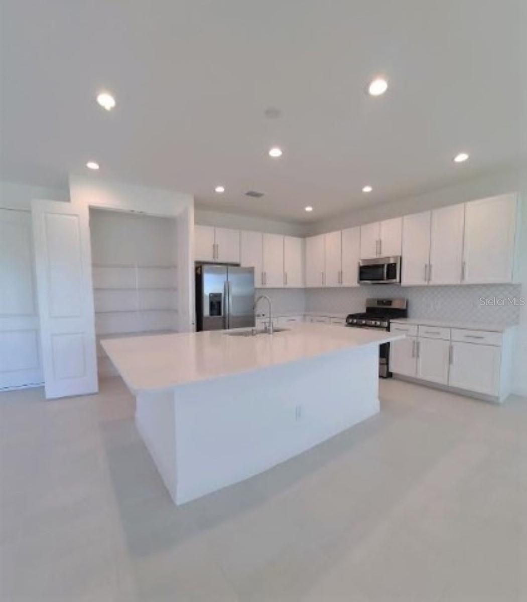 3068 MOUNTAIN SPRUCE TER, WESLEY CHAPEL, FL, 33543