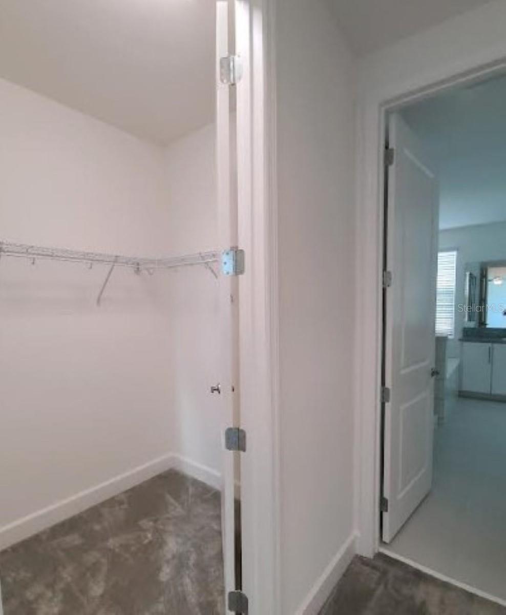 3068 MOUNTAIN SPRUCE TER, WESLEY CHAPEL, FL, 33543