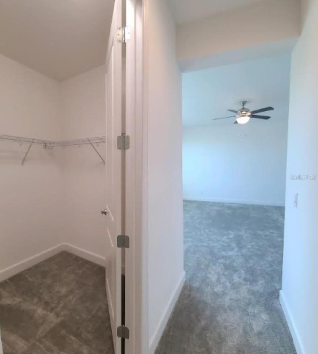 3068 MOUNTAIN SPRUCE TER, WESLEY CHAPEL, FL, 33543