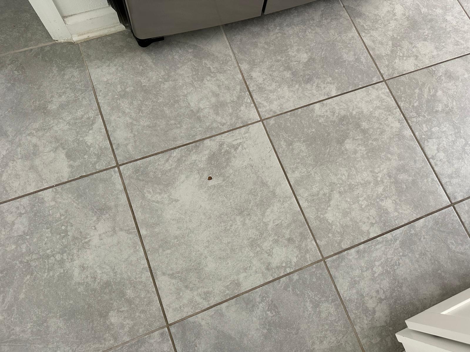 265 BOGEY DR, DAVENPORT, FL, 33896