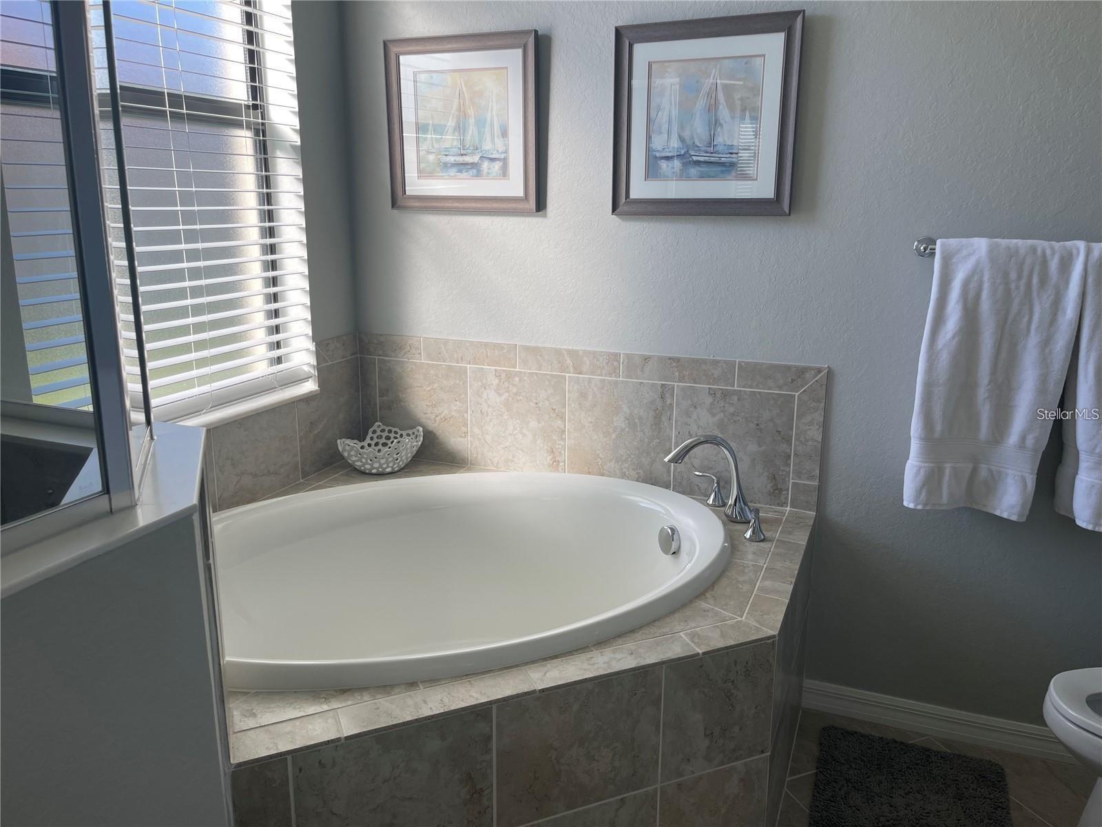 12229 AMICA LOOP, VENICE, FL, 34293