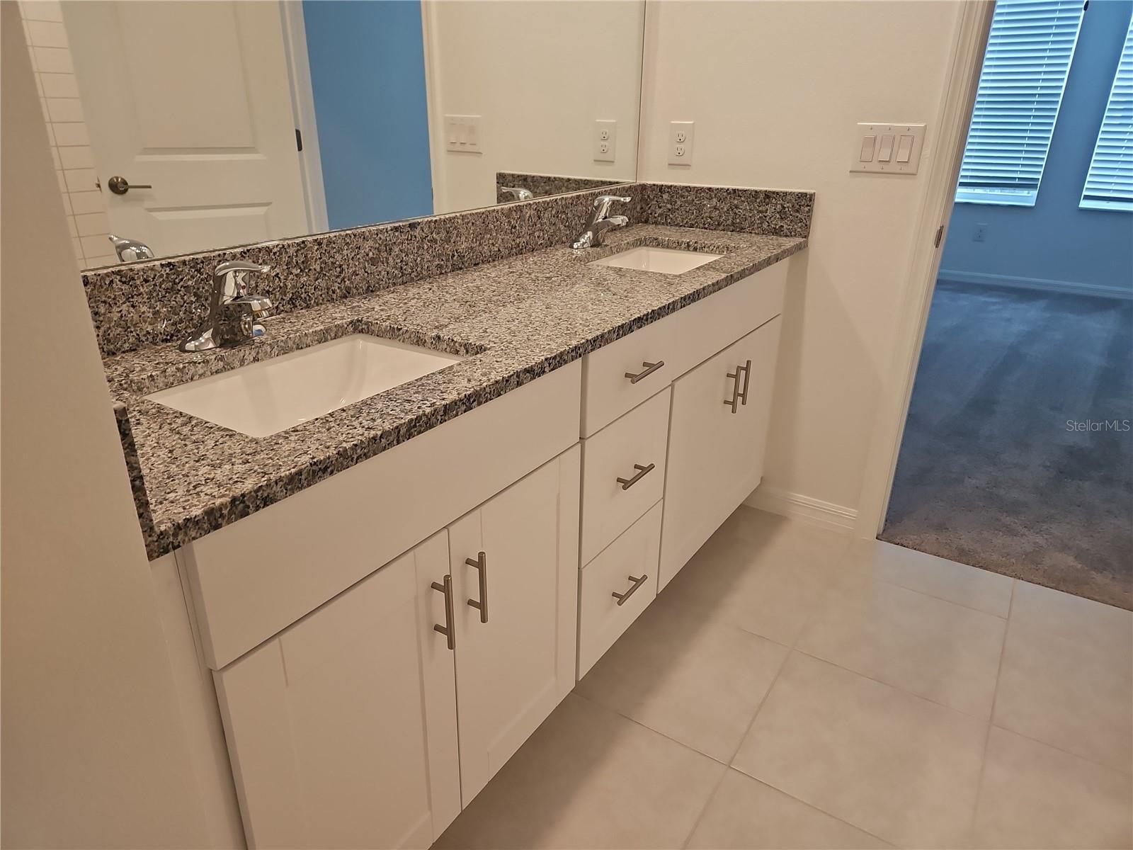 8841 GALLANTREE PL, LAND O LAKES, FL, 34637