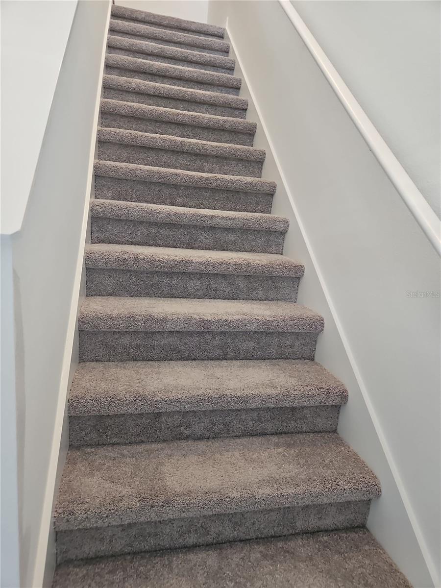 8841 GALLANTREE PL, LAND O LAKES, FL, 34637