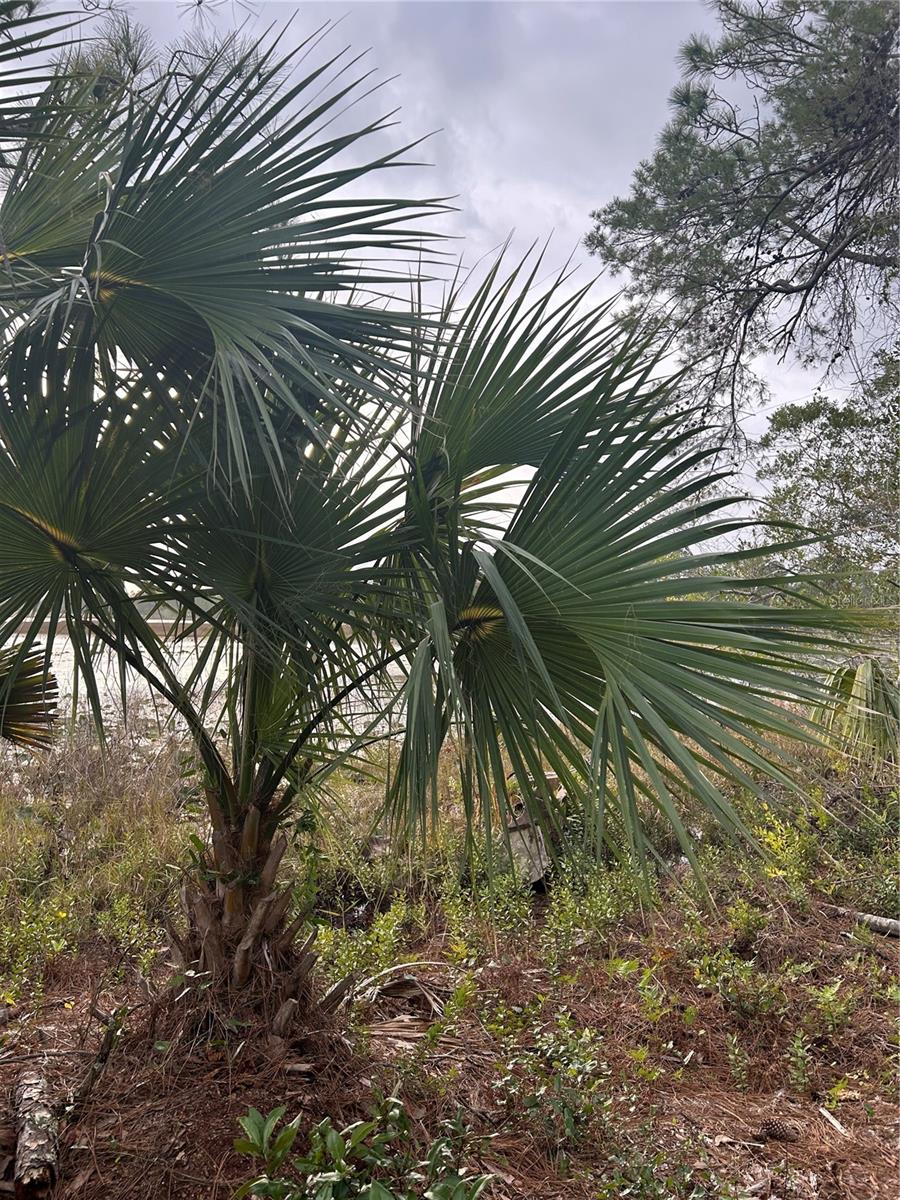 JEWELL DR, DELAND, FL, 32720