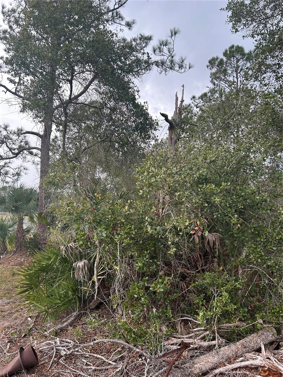 JEWELL DR, DELAND, FL, 32720