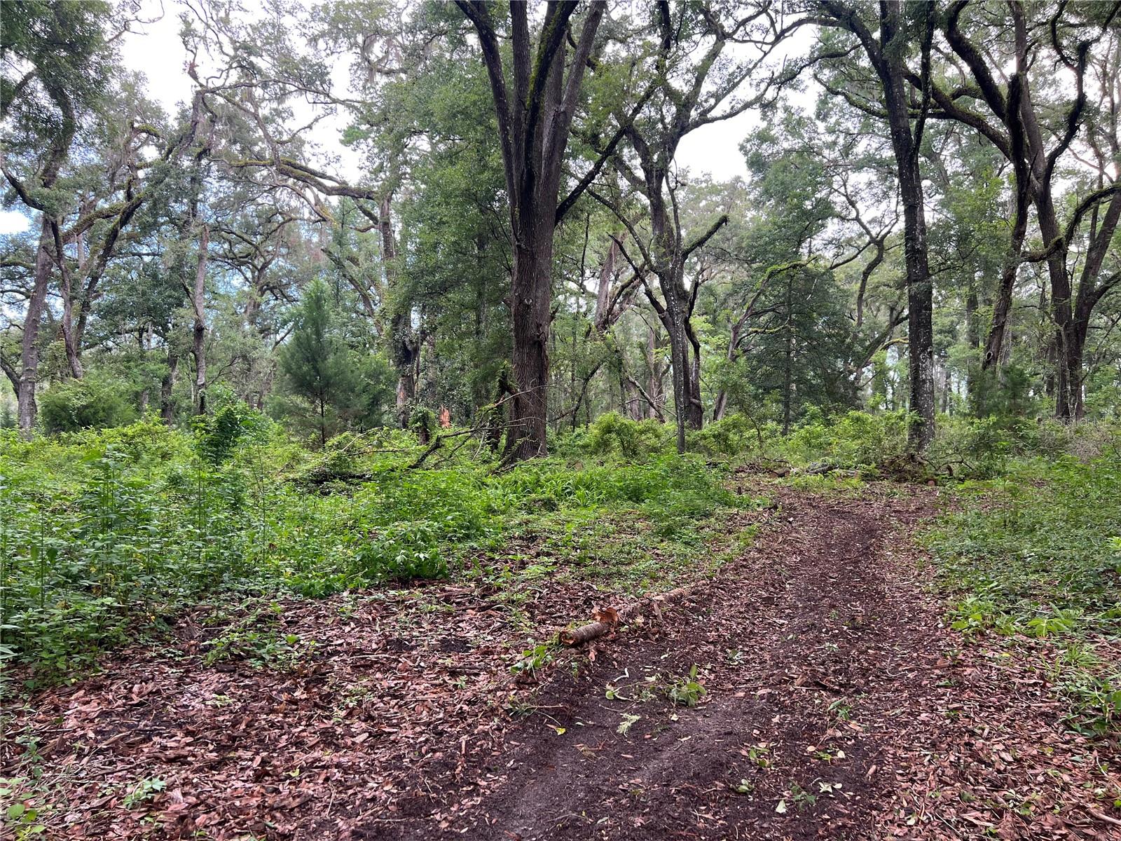 7606 SW 122ND ST, GAINESVILLE, FL, 32608