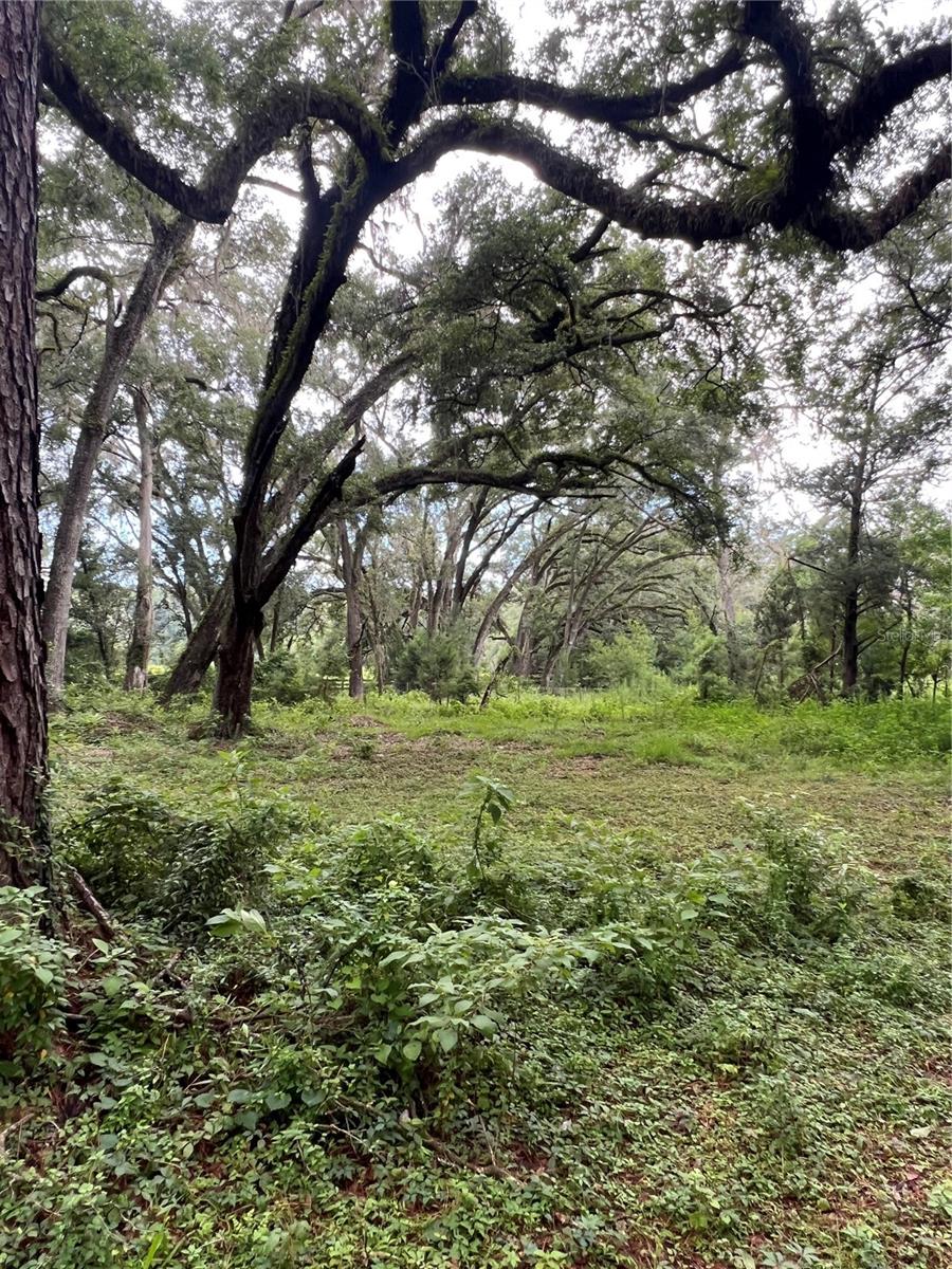 7606 SW 122ND ST, GAINESVILLE, FL, 32608