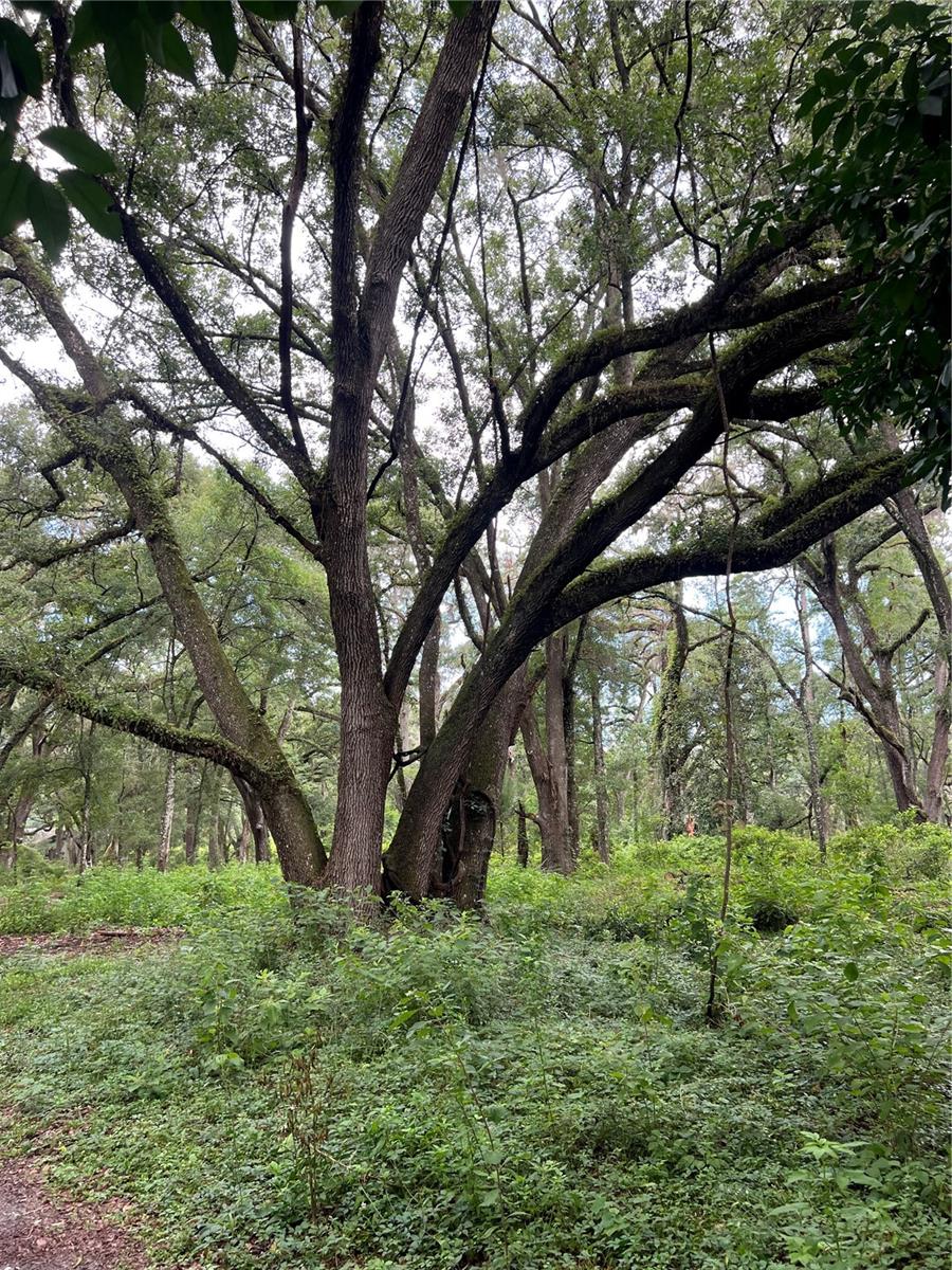 7606 SW 122ND ST, GAINESVILLE, FL, 32608