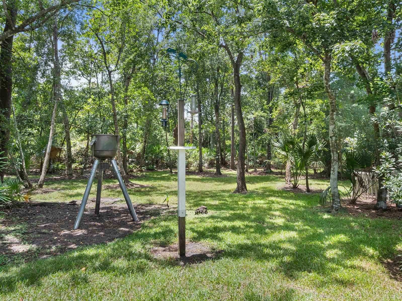 2401 WASSUM TRL, CHULUOTA, FL, 32766