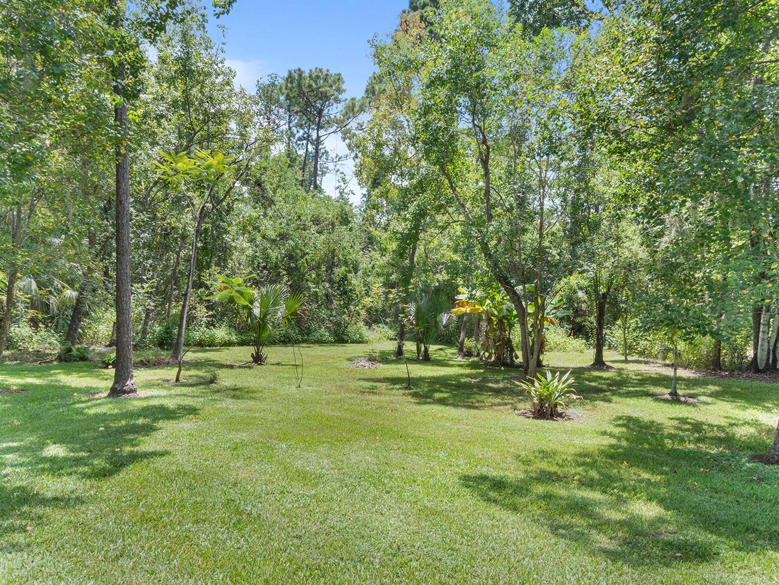 2401 WASSUM TRL, CHULUOTA, FL, 32766