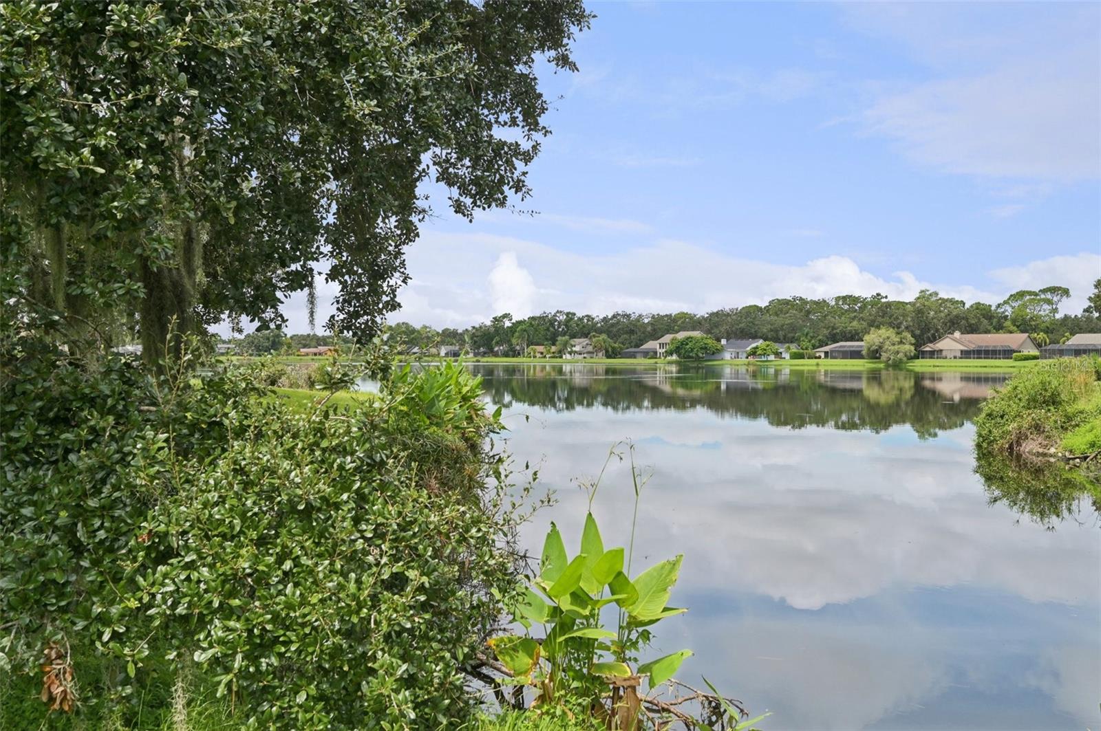 A4659075 Property Photo