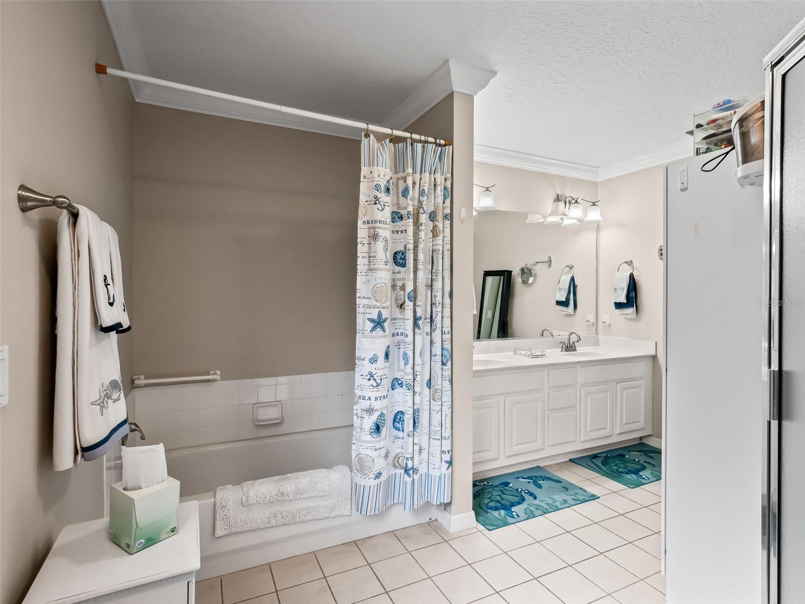 505 CARRERA DR, THE VILLAGES, FL, 32159