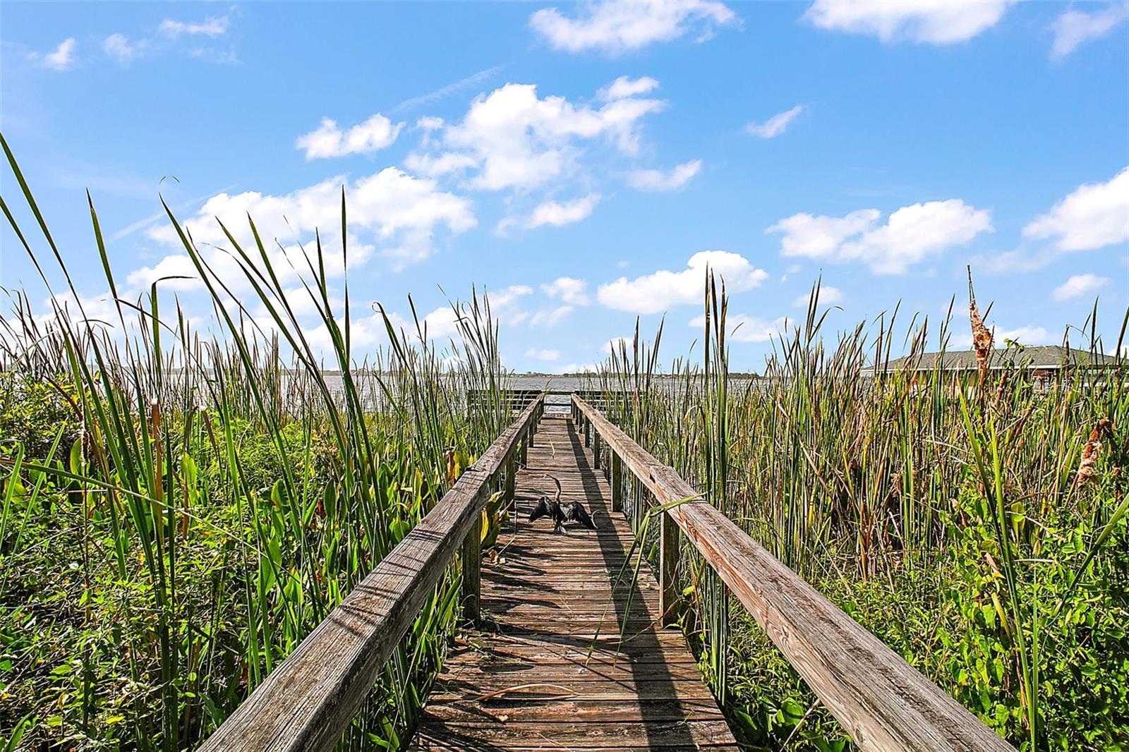 2620 MCDONALD TER, MOUNT DORA, FL, 32757