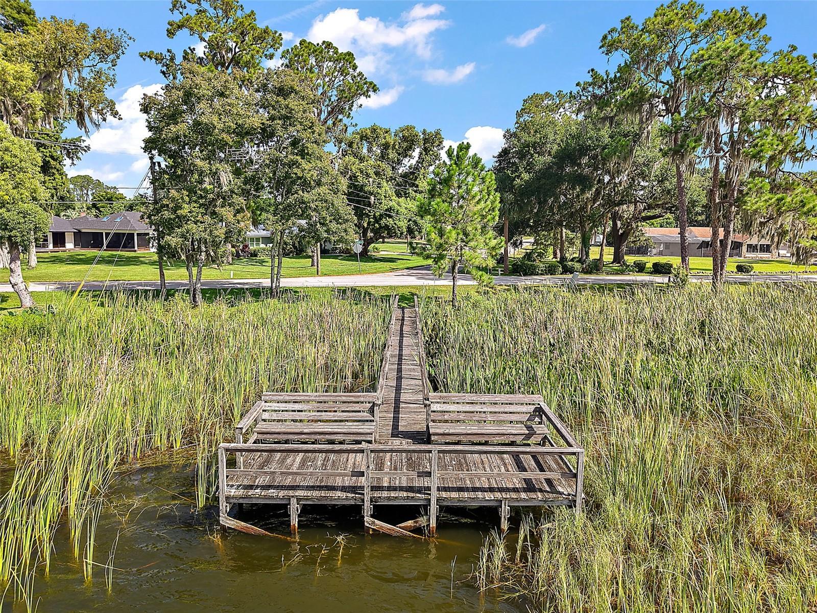 2620 MCDONALD TER, MOUNT DORA, FL, 32757