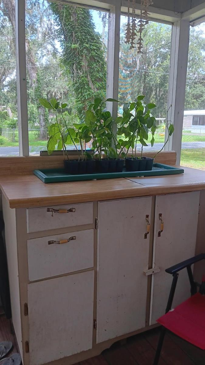 2693 CR 426F, LAKE PANASOFFKEE, FL, 33538