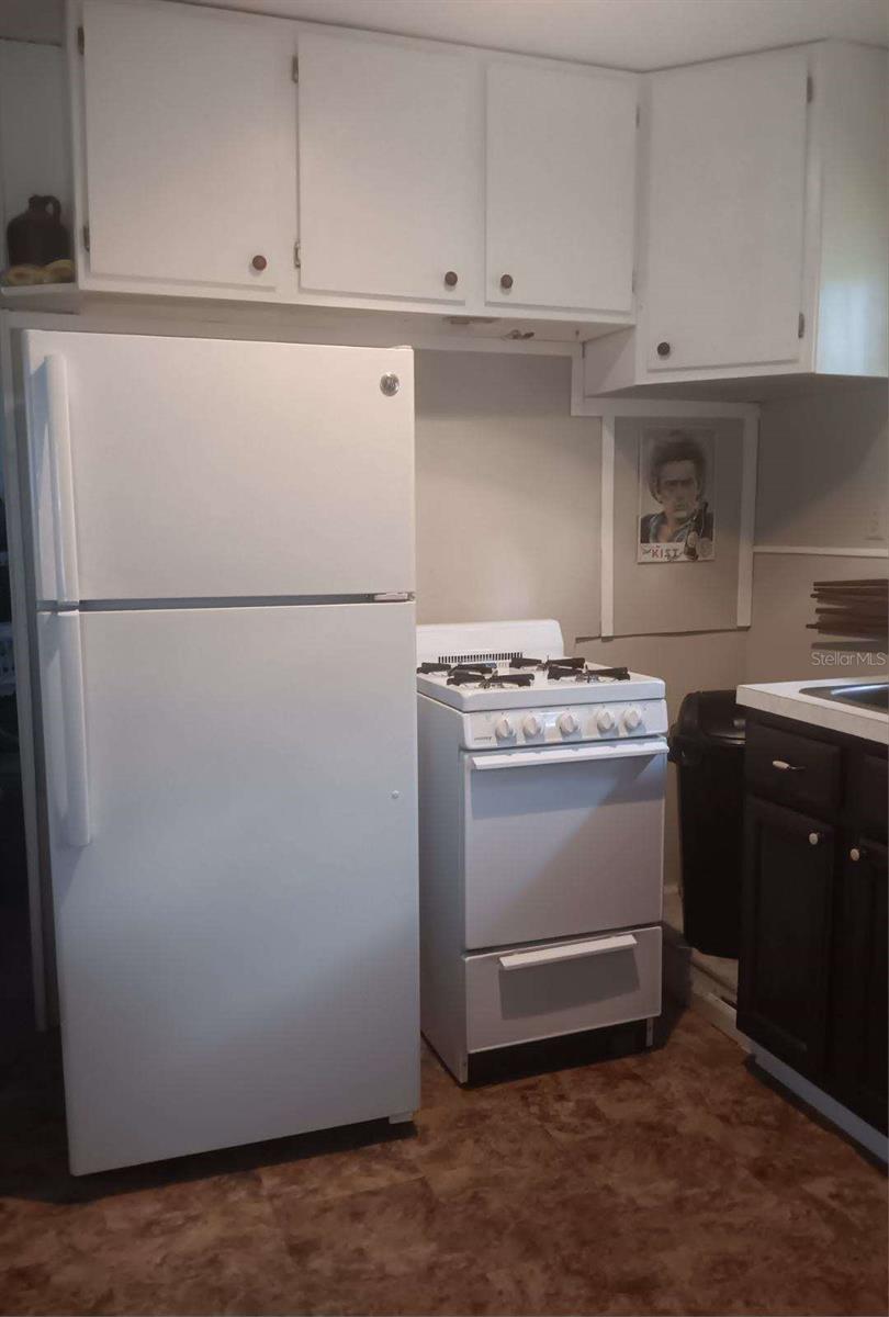 2693 CR 426F, LAKE PANASOFFKEE, FL, 33538