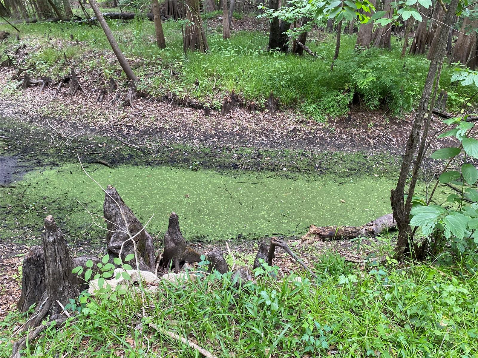 8412 CR 647, BUSHNELL, FL, 33513