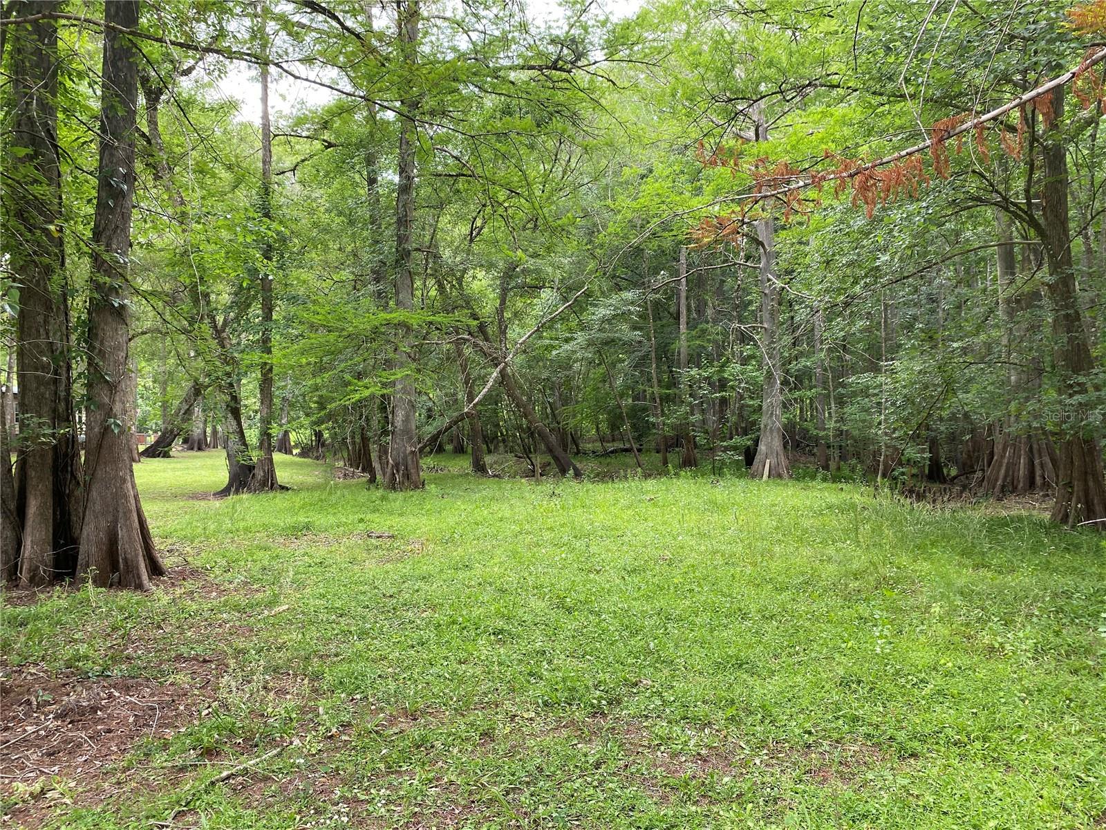 8412 CR 647, BUSHNELL, FL, 33513