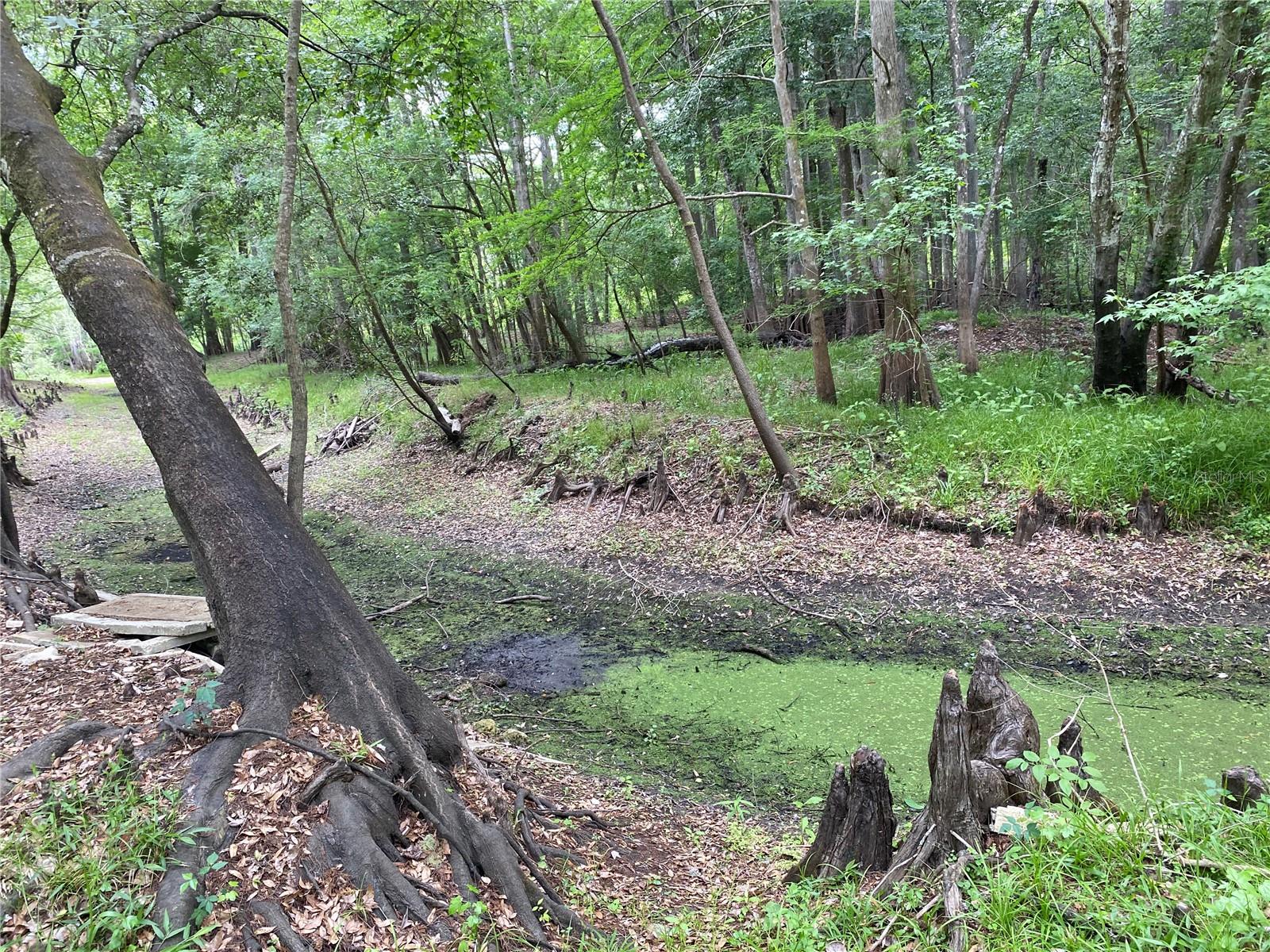 8412 CR 647, BUSHNELL, FL, 33513