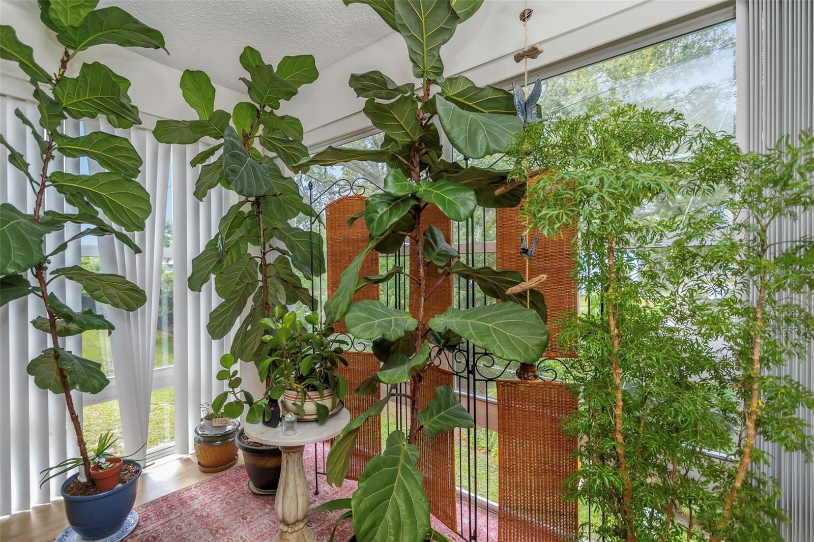 TB8409021 Property Photo