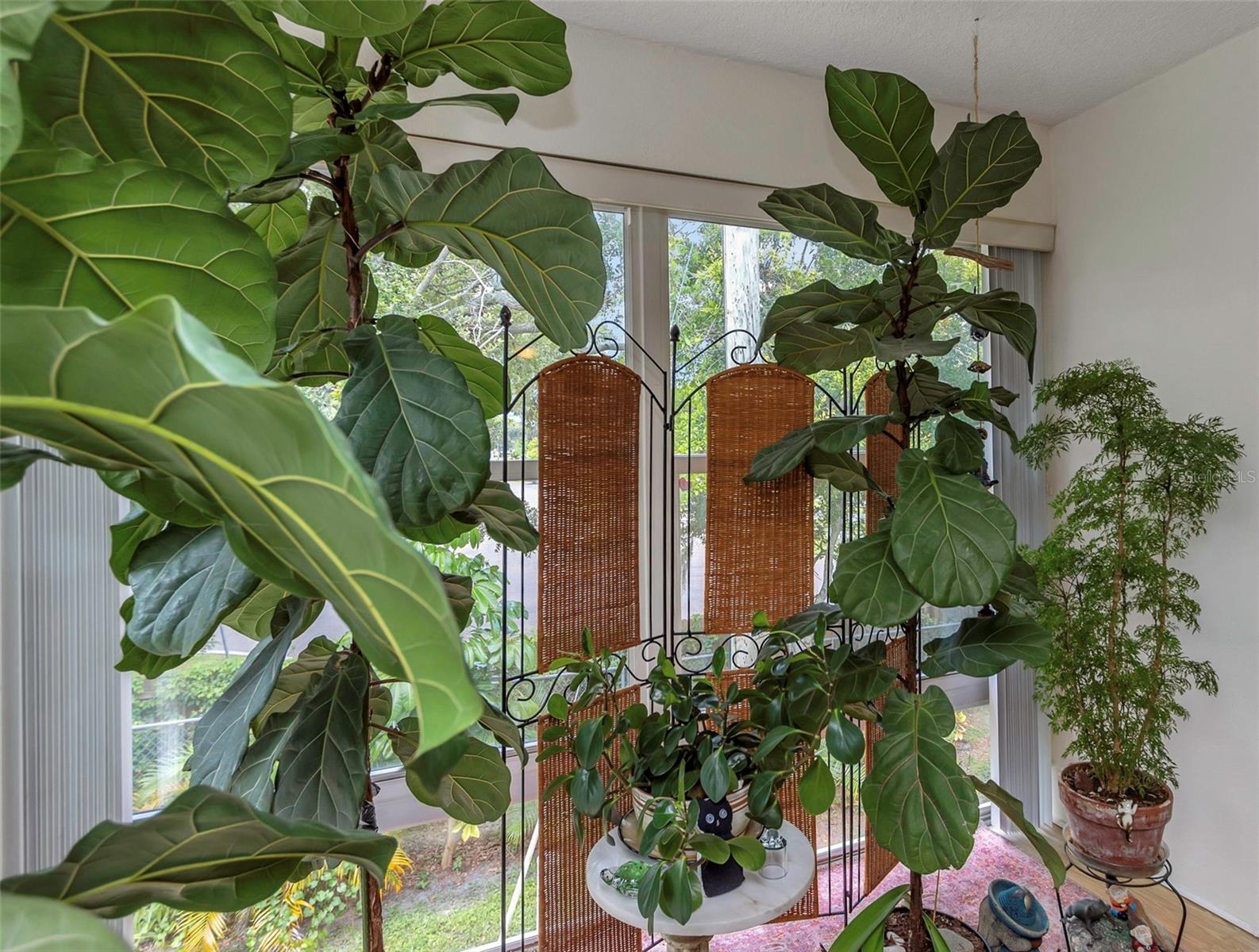 TB8409021 Property Photo