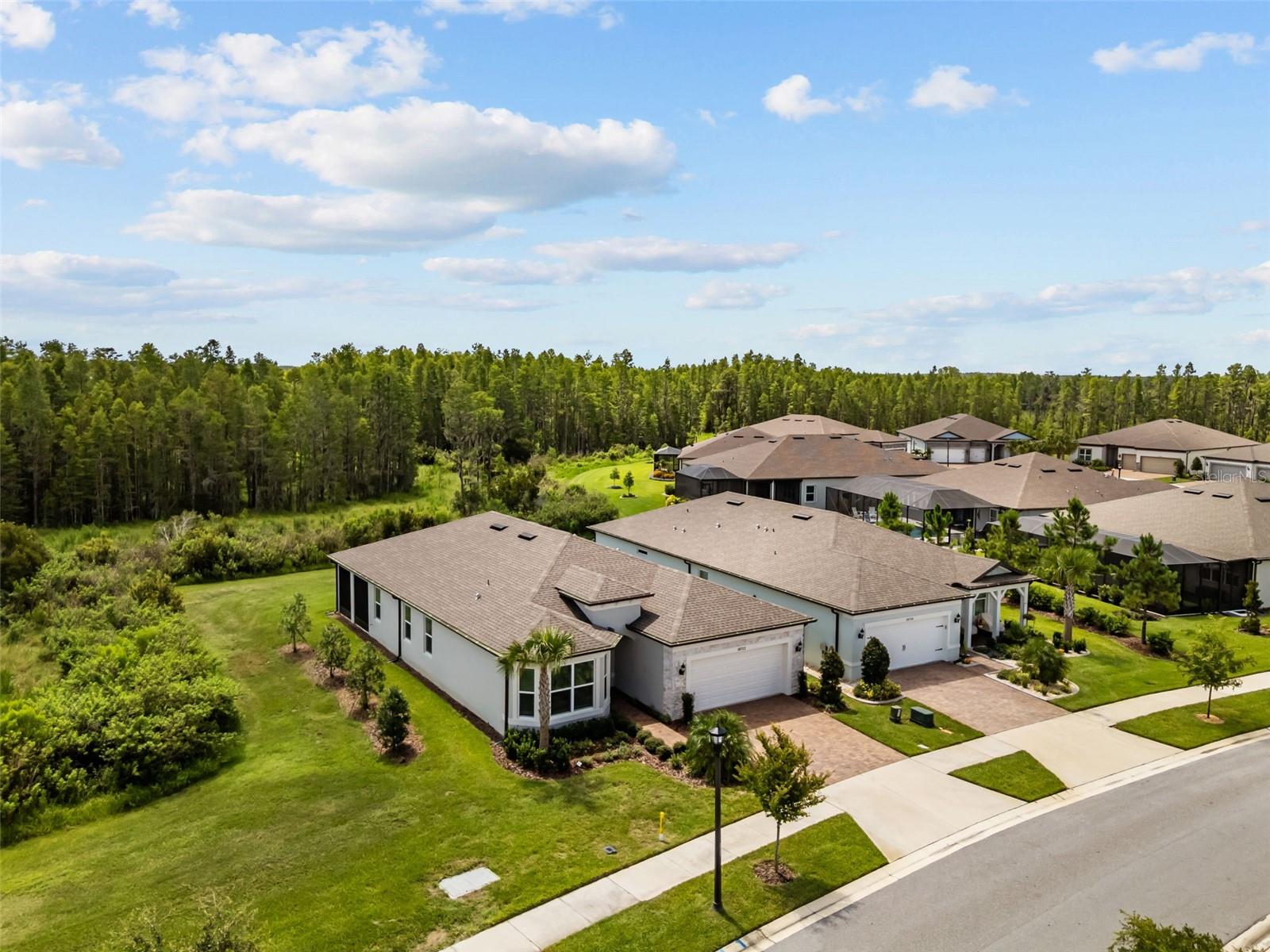 Private Conservation Lot with only 1 side neighbor