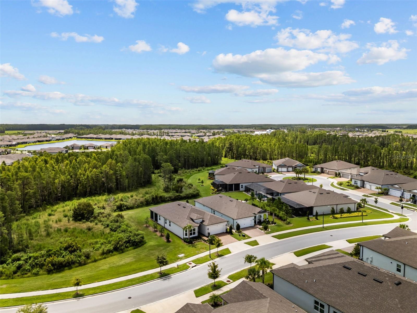 Private Conservation Lot with only 1 side neighbor