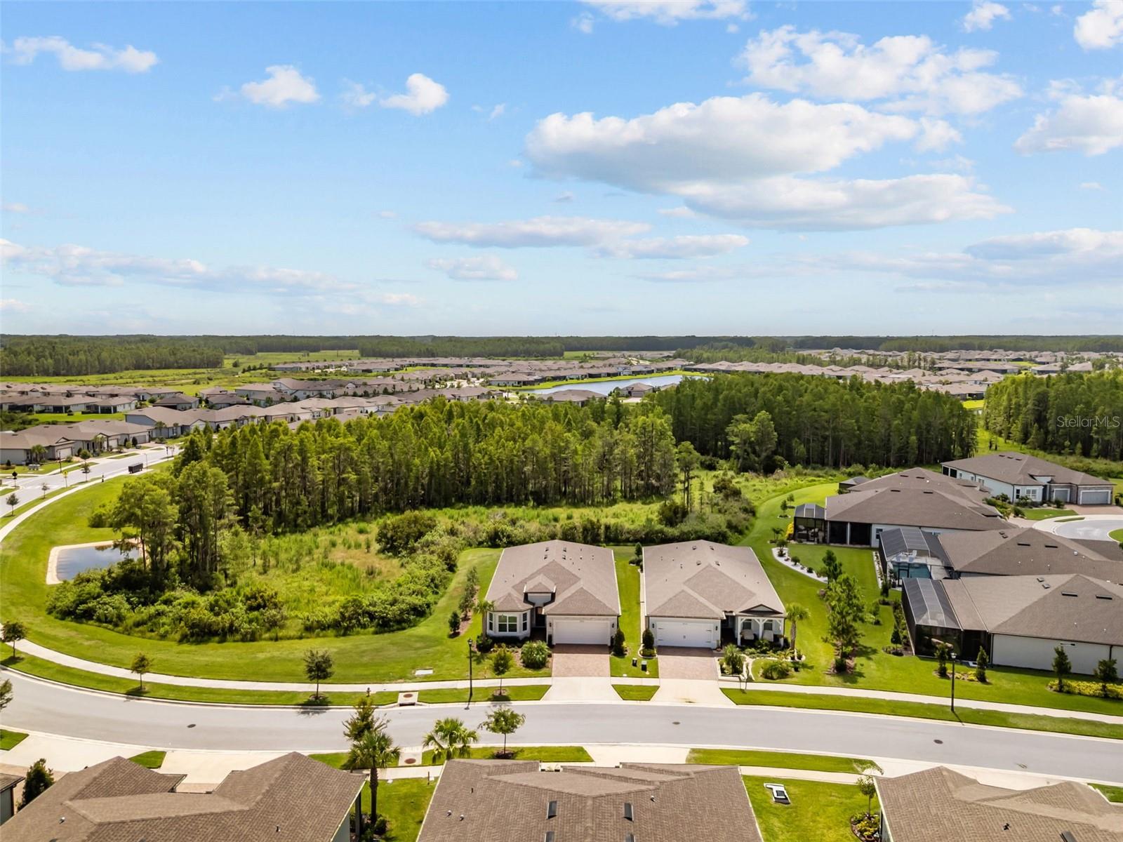 Private Conservation Lot with only 1 side neighbor