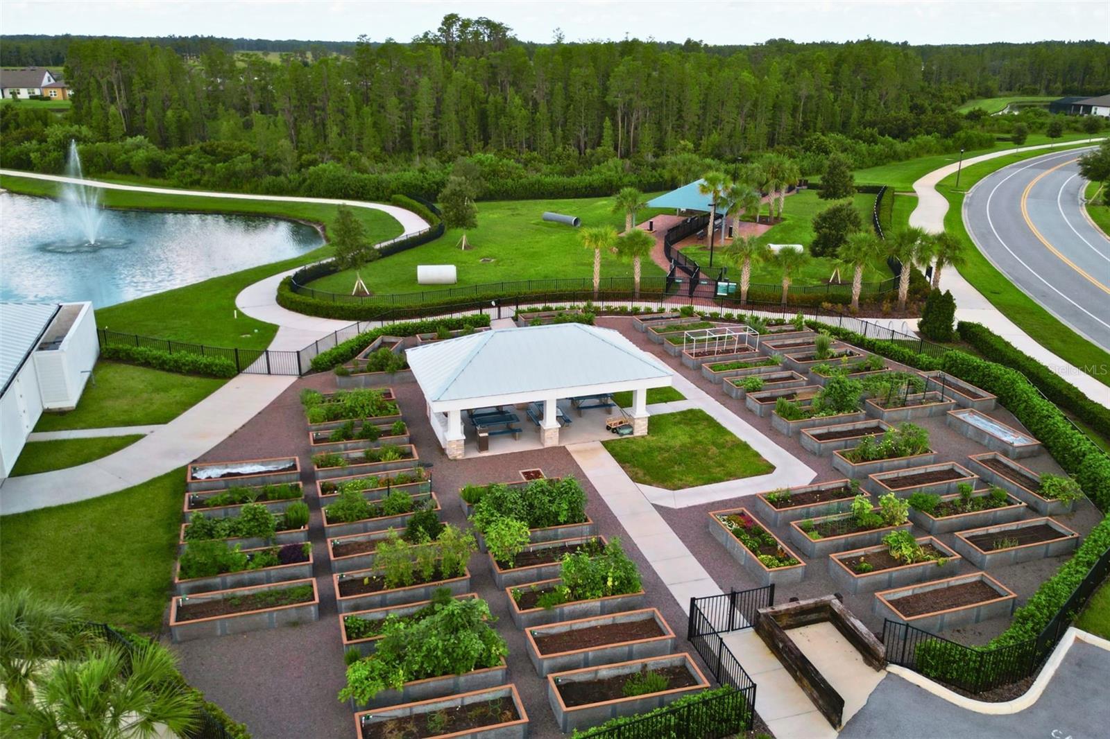 Grow your own veggies in the community garden.