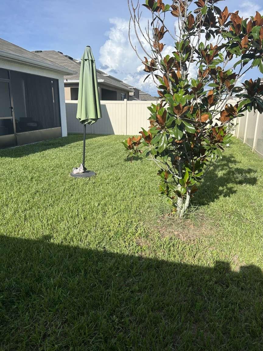 16122 SOFT FERN TRCE, ODESSA, FL, 33556